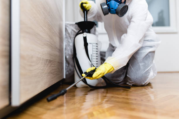 Best Commercial Pest Control Services  in Alpine, TX