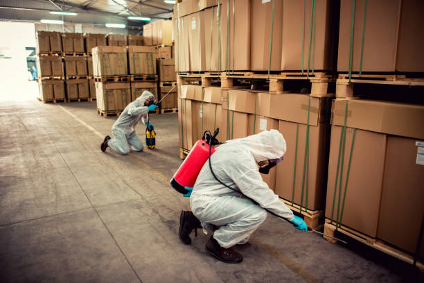 Best Flea Control Services  in Alpine, TX