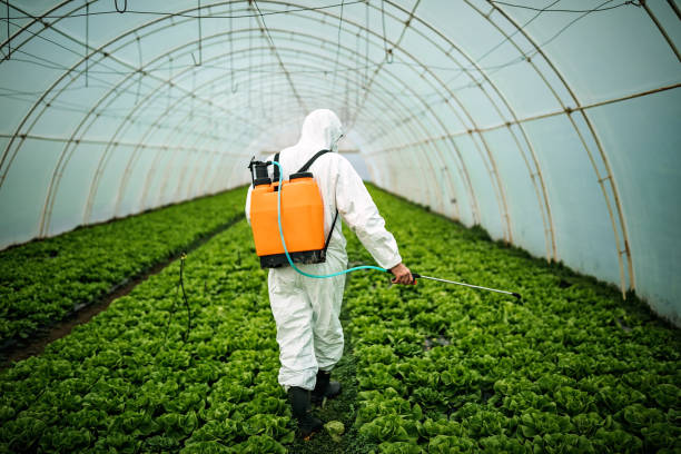 Pest Control for Restaurants in Alpine, TX