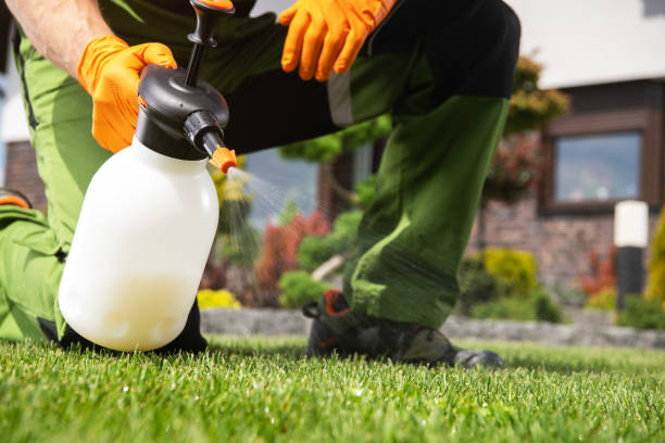 Best Pest Control for Restaurants  in Alpine, TX