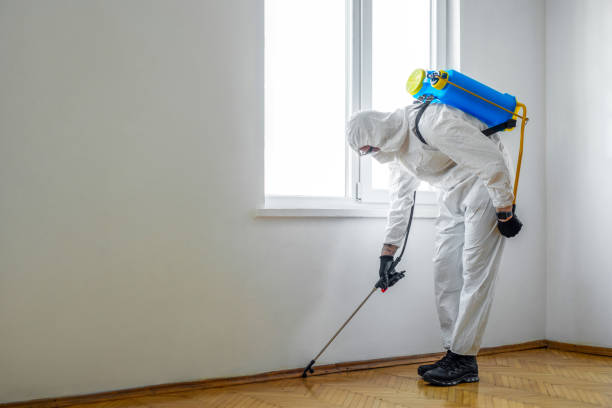 Best Best Pest Control Companies  in Alpine, TX