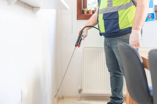 Reliable Alpine, TX Pest Control Solutions