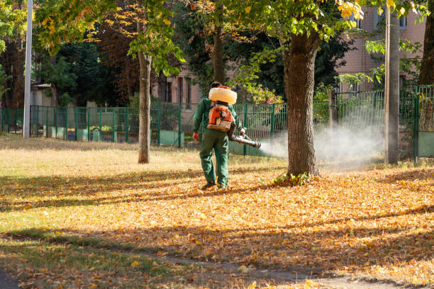 Trusted Alpine, TX Pest Control Experts