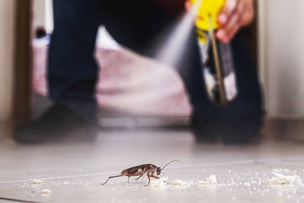 Best Pest Prevention Services  in Alpine, TX