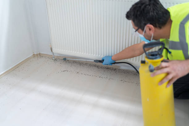 Best Ant Control Services  in Alpine, TX
