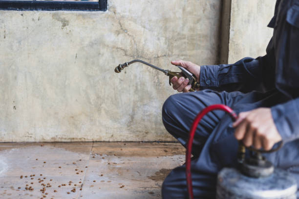 Best Pest Control Cost  in Alpine, TX